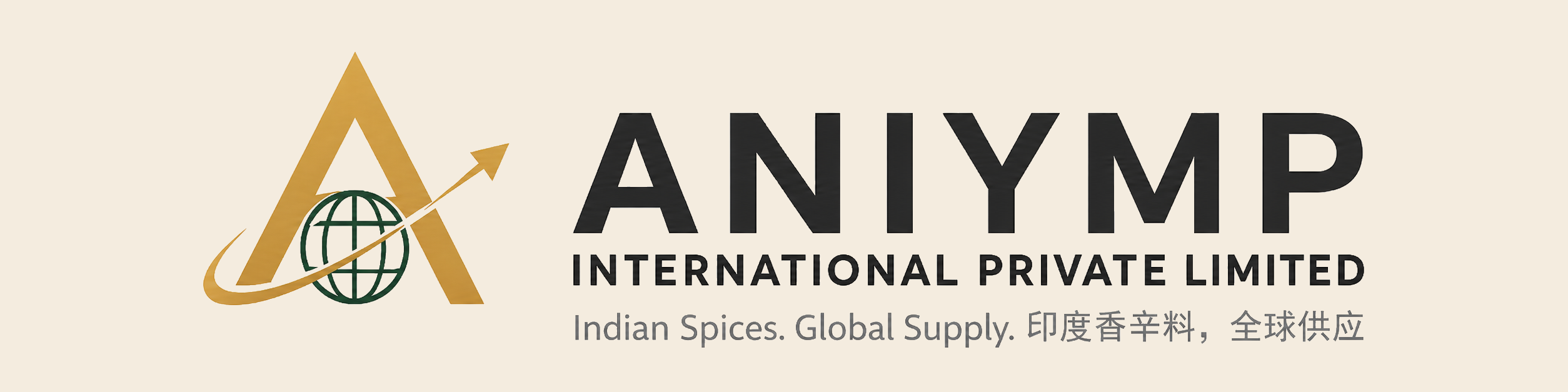ANIYMP INTERNATIONAL logo
