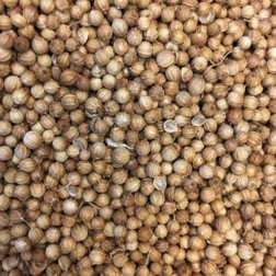 Whole coriander seeds