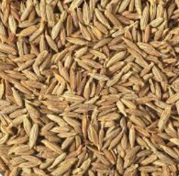 Whole cumin seeds