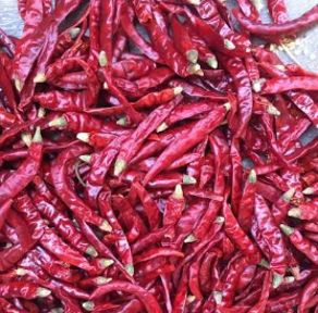 Red chillies